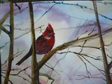 by Lianne Juster