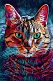 by Vicki Pelham