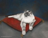 by Rebecca Cooper