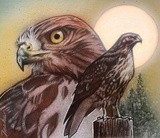by Ryan Drake