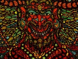 by samuel bohorquez