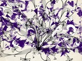 by Jeannie Ferrara