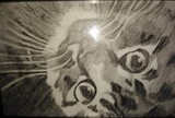 by Vivian Feltz