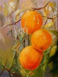 by Elena Sokolova