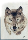 by Bud Norris 