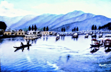 by Satya Prakash 