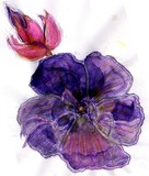 by Dana Koffenberger