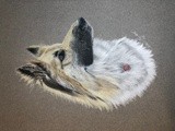 by Catherine Sandell