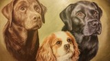 by Susan Rathbone 