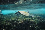 by Reef Upwelling