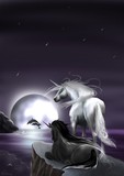 by Melissa D