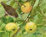 by Laurie Rohner