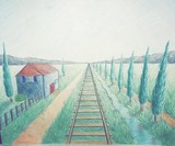 by Sara Carrington