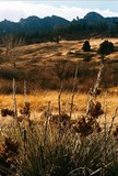 by Randy Schwanke