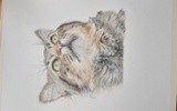 by Michael  Williams 