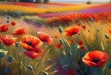 by Mihaela B