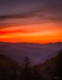 by SA KOONTZ
