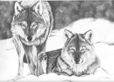 by Jack Boyle