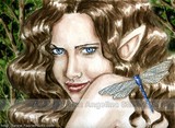 by Nedda Shishegar