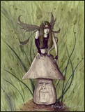 by Rebecca Sinz