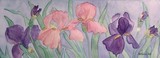 by Nancy Woolweber