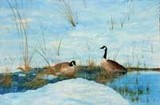 by Mary Ann Boysen