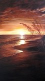 by Anna Kutishcheva
