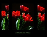 by DEE JOBES PHOTOGRAPHY