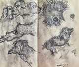 by José Ramalhão Fortunato