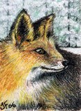 by Terri Walker