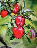by Kristof Corvinus
