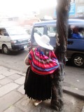 by Karloz camacho