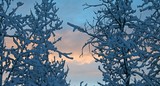 by Pamela Tweton