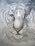 by donald penwell
