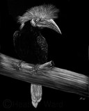 by Heather Ward