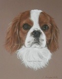 by Joanne Simpson-Connor