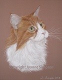by Joanne Simpson-Connor