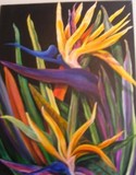 by Carol Warren