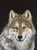 by Diane Sleger