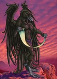 by Cassandra Gunn 