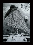 by Donna Zawadzka