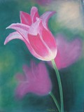 by Guida Longhurst