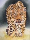by Malissa Myers