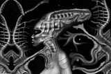 by Paata Konashvili