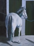 by Karen Bowden
