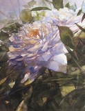 by Susan Kennedy