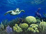 by jennifer  belote