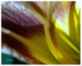by Rick  Taber