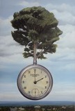 by jon  jaylo
