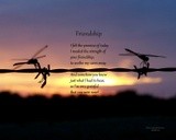 by Sharron Lee